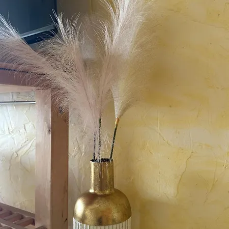 Vue Panoramique Les Pieds Dans L Eau Apartamento *