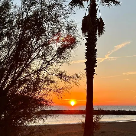 Vue Panoramique Les Pieds Dans L Eau Apartamento *
